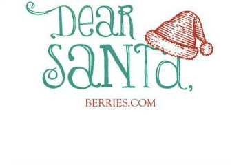 Santa Letter BlogCover blog131210 1