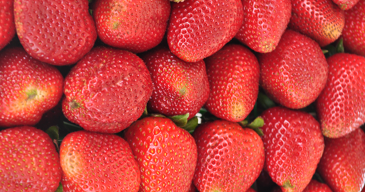 National Strawberry Day Facts & Folklore Shari's Berries Blog