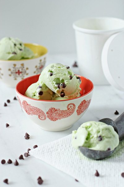 Fresh-mint-chocolate-chip-ice-cream-web-3