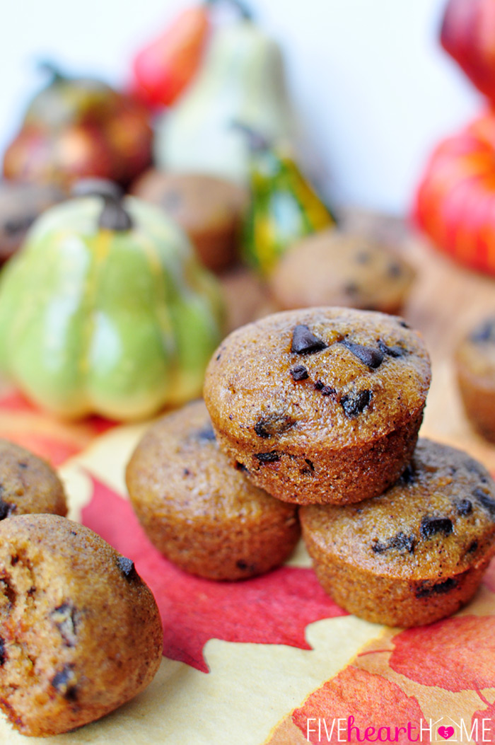 The-Best-Chocolate-Chip-Pumpkin-Bread-or-Muffins-by-Five-Heart-Home_700pxTrio