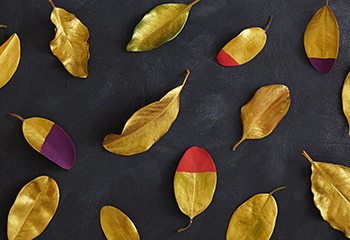 DIYDippedLeaf thumb