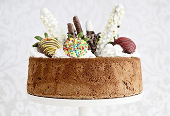 SBChocolateAngelFoodCake thumb2