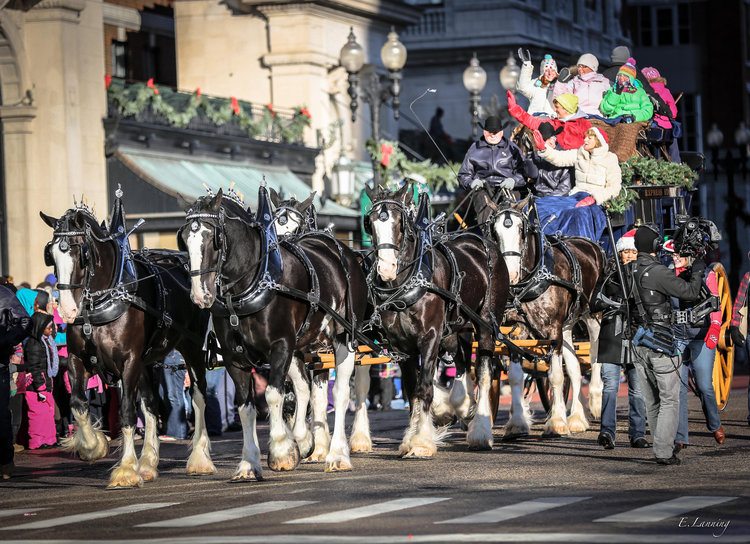 Grand Rapids Christmas parade