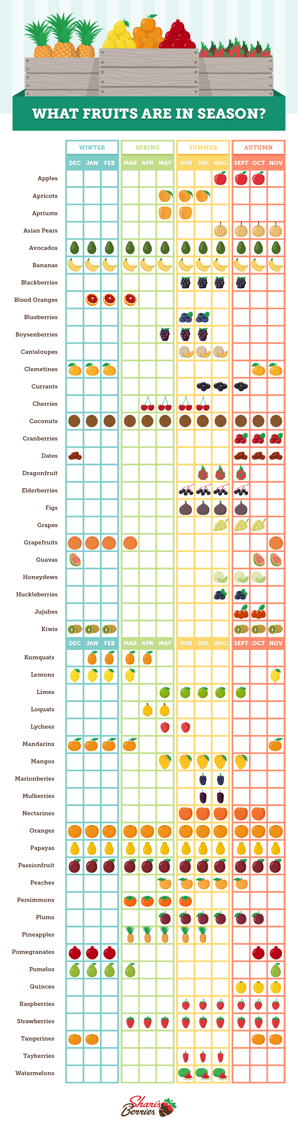 What Fruits Are In Season