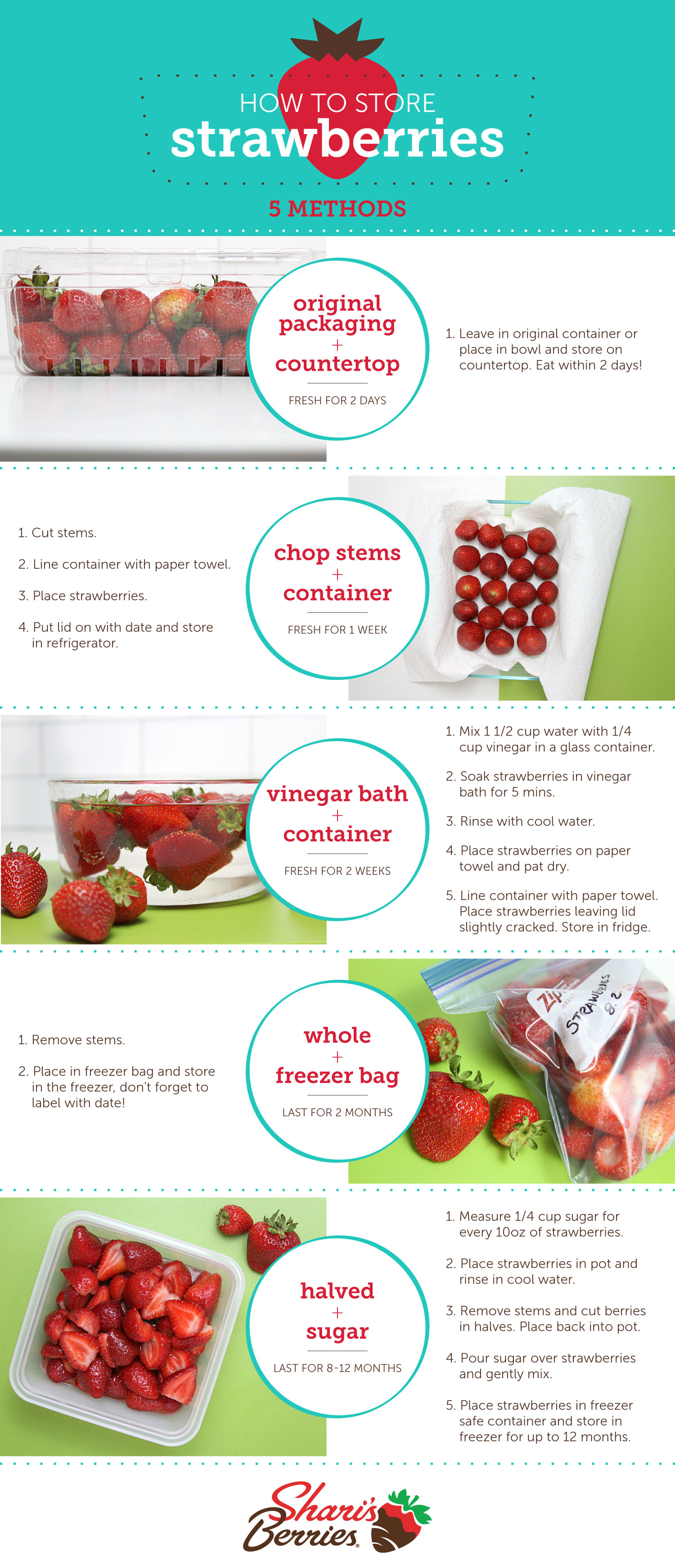 Best Way to Store Fresh Strawberries - Butter & Baggage