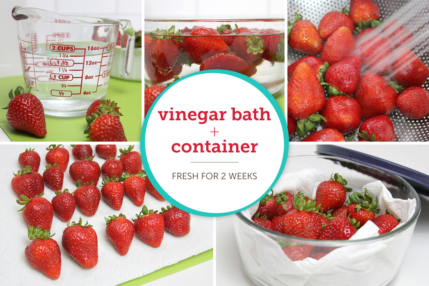 How to Store Strawberries & Keep Them Fresh - Shari's Berries