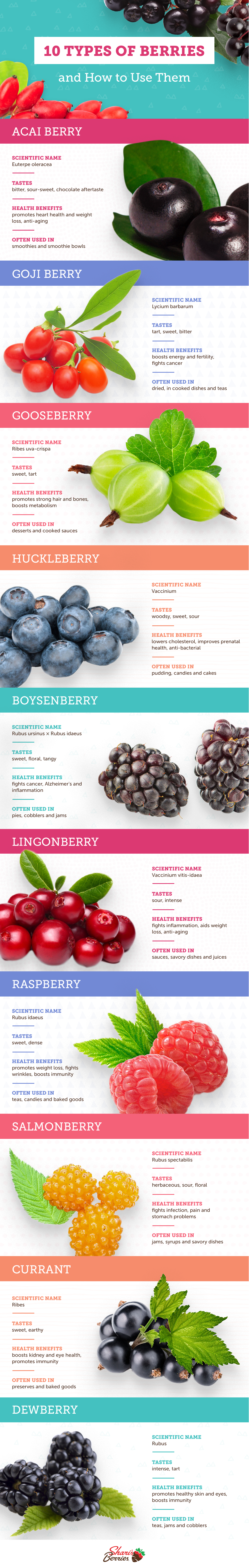 Blueberry Variety Chart