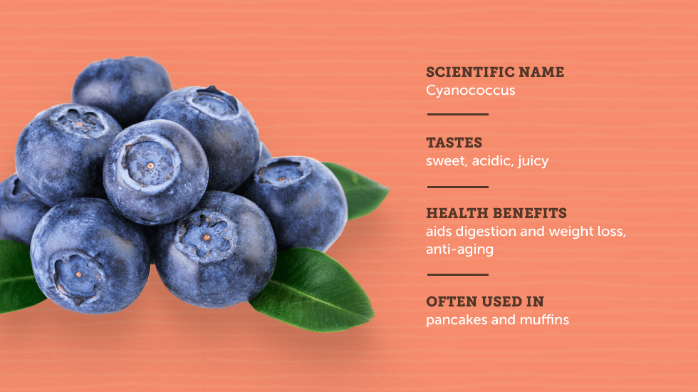 https://www.berries.com/blog/wp content/uploads///sm sb berries IG no titles Blueberry