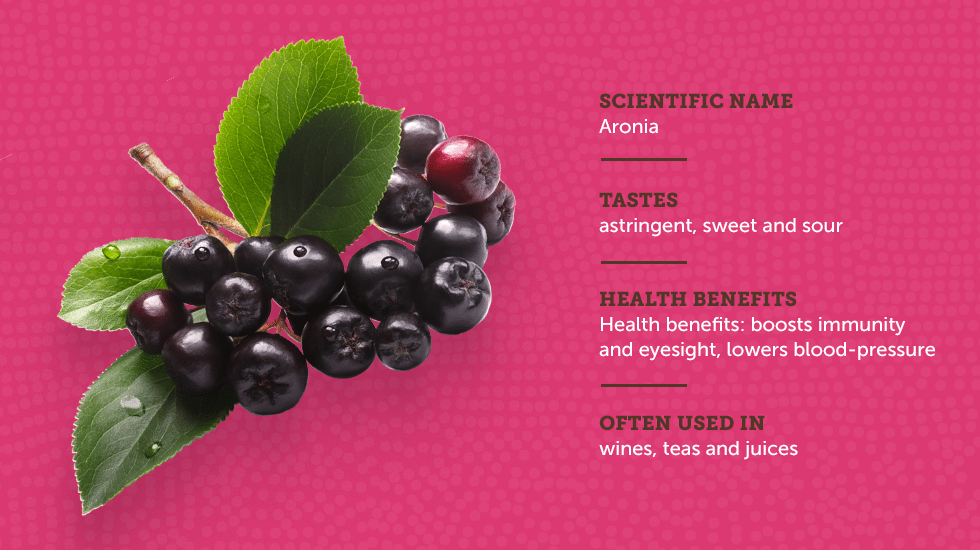 https://www.berries.com/blog/wp content/uploads///sm sb berries IG no titles Chokeberry