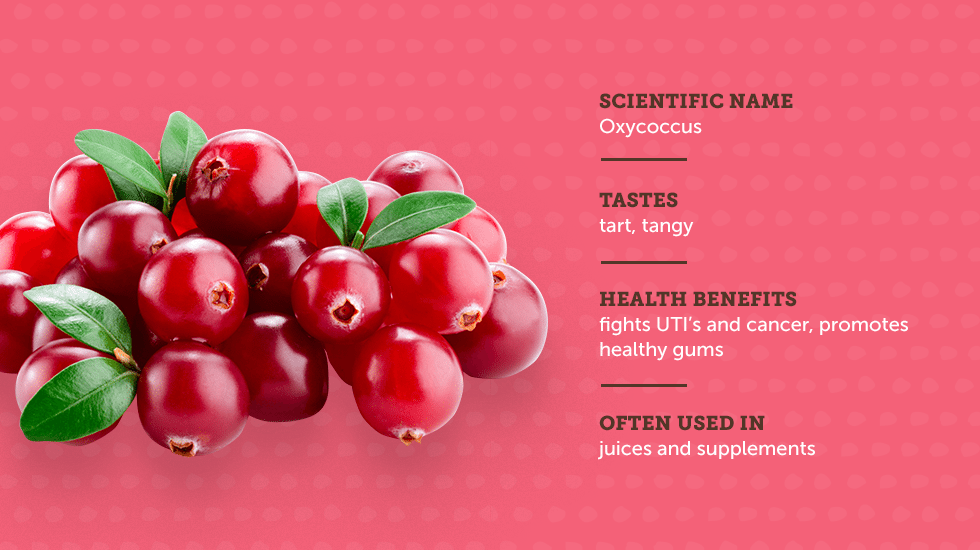 https://www.berries.com/blog/wp content/uploads///sm sb berries IG no titles Cranberry