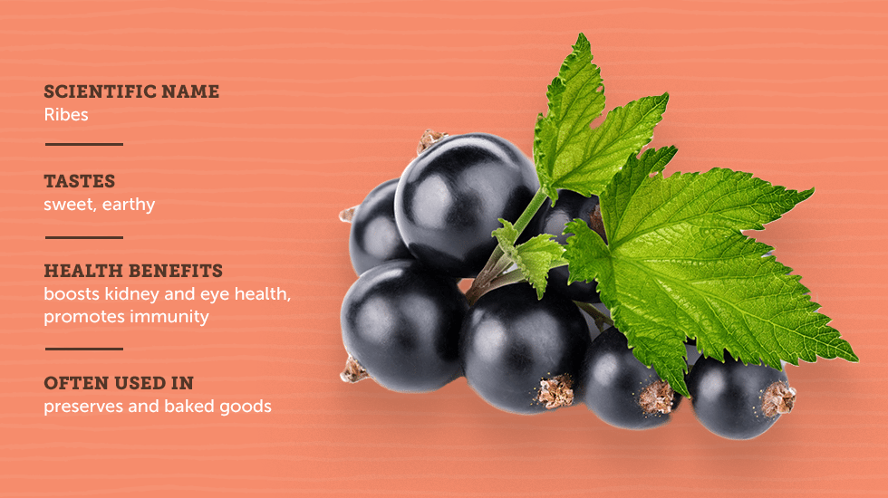 https://www.berries.com/blog/wp content/uploads///sm sb berries IG no titles Currant