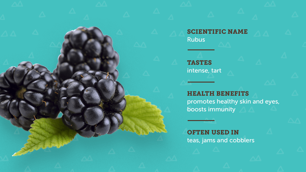 https://www.berries.com/blog/wp content/uploads///sm sb berries IG no titles Dewberry