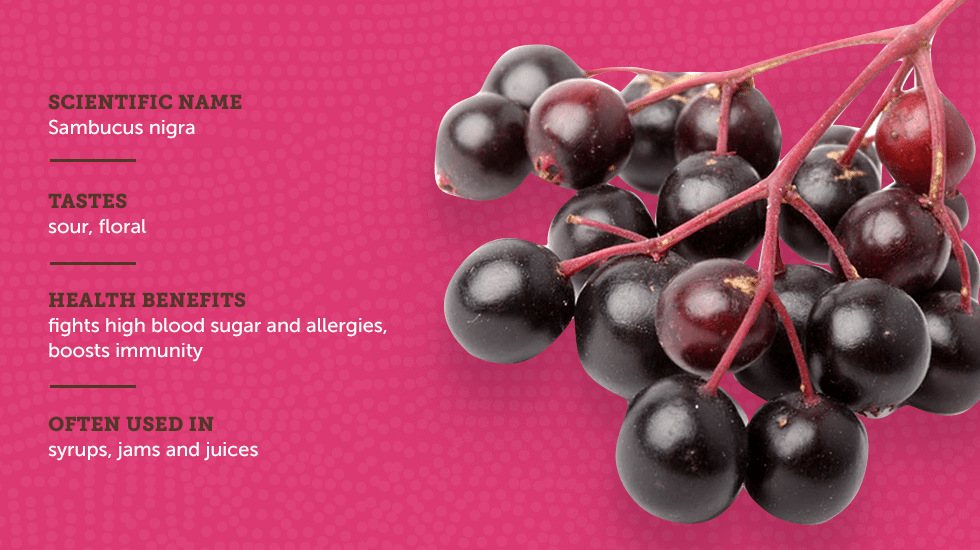 https://www.berries.com/blog/wp content/uploads///sm sb berries IG no titles Elderberry