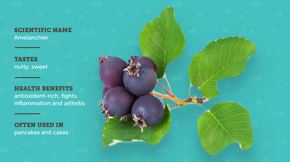 https://www.berries.com/blog/wp content/uploads///sm sb berries IG no titles Juneberry