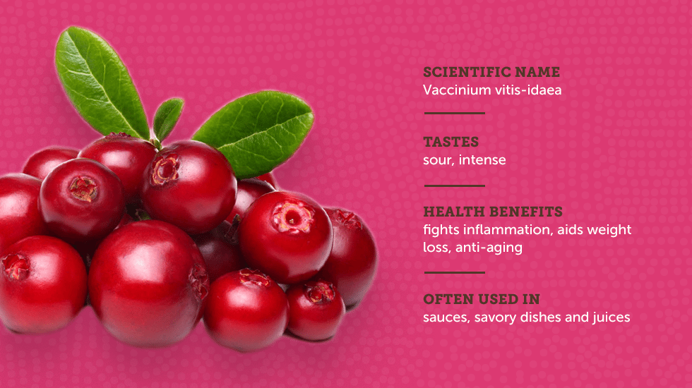 https://www.berries.com/blog/wp content/uploads///sm sb berries IG no titles Lingonberry