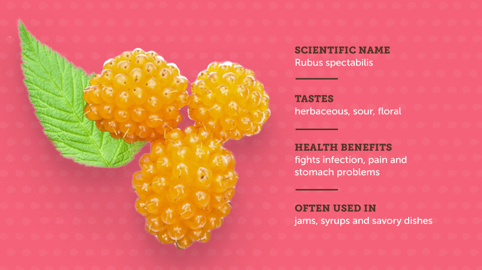 https://www.berries.com/blog/wp content/uploads///sm sb berries IG no titles Salmonberry