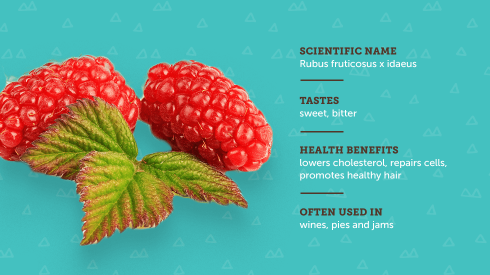 https://www.berries.com/blog/wp content/uploads///sm sb berries IG no titles Tayberry