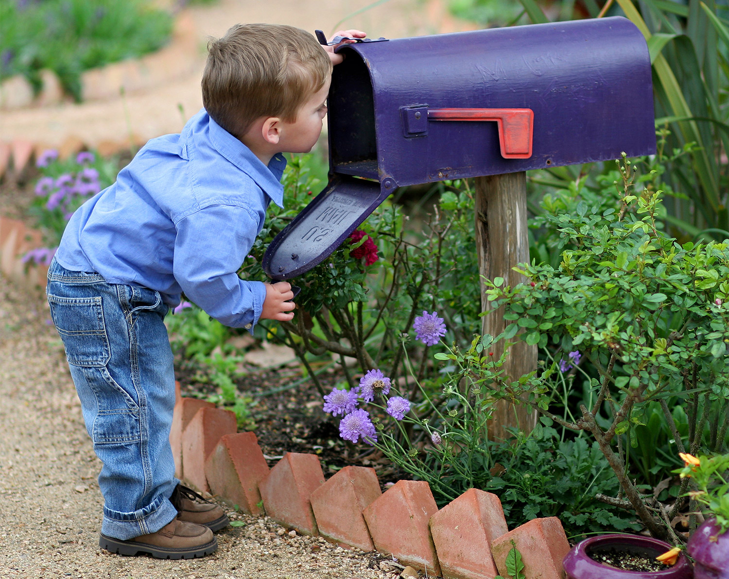 mail-birthday-traditions-checking