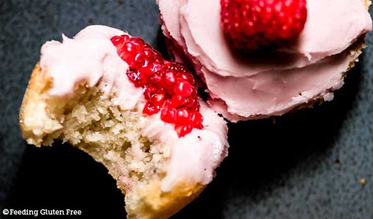 gluten free berry cupcake
