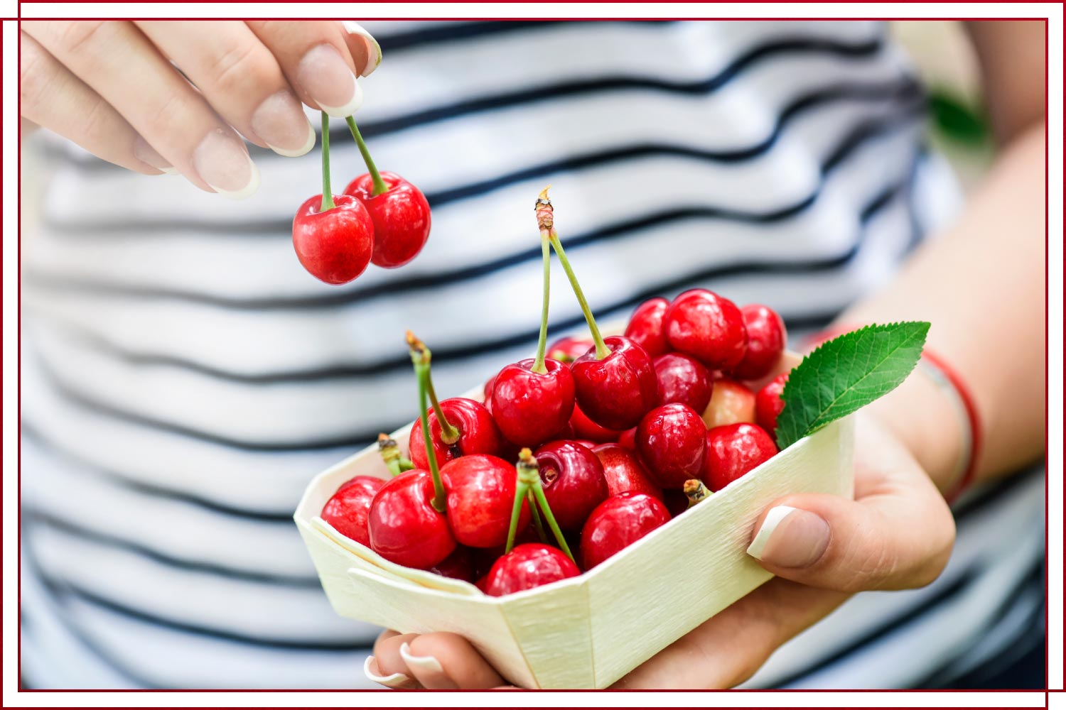 Life is a bowl of cherries meaning