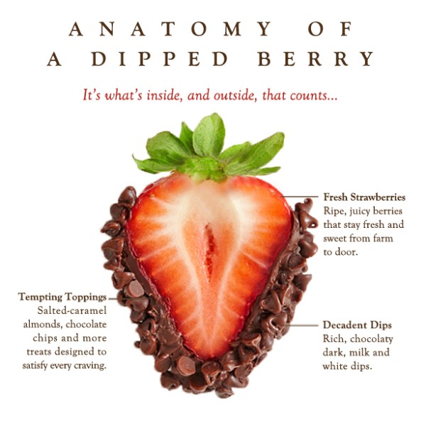 Anatomy of a Dipped Berry