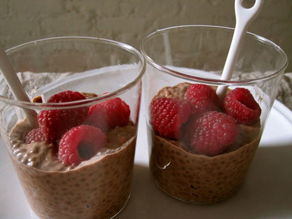 chocolate chia pudding blog