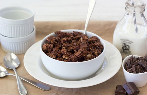 double chocolate granola blog