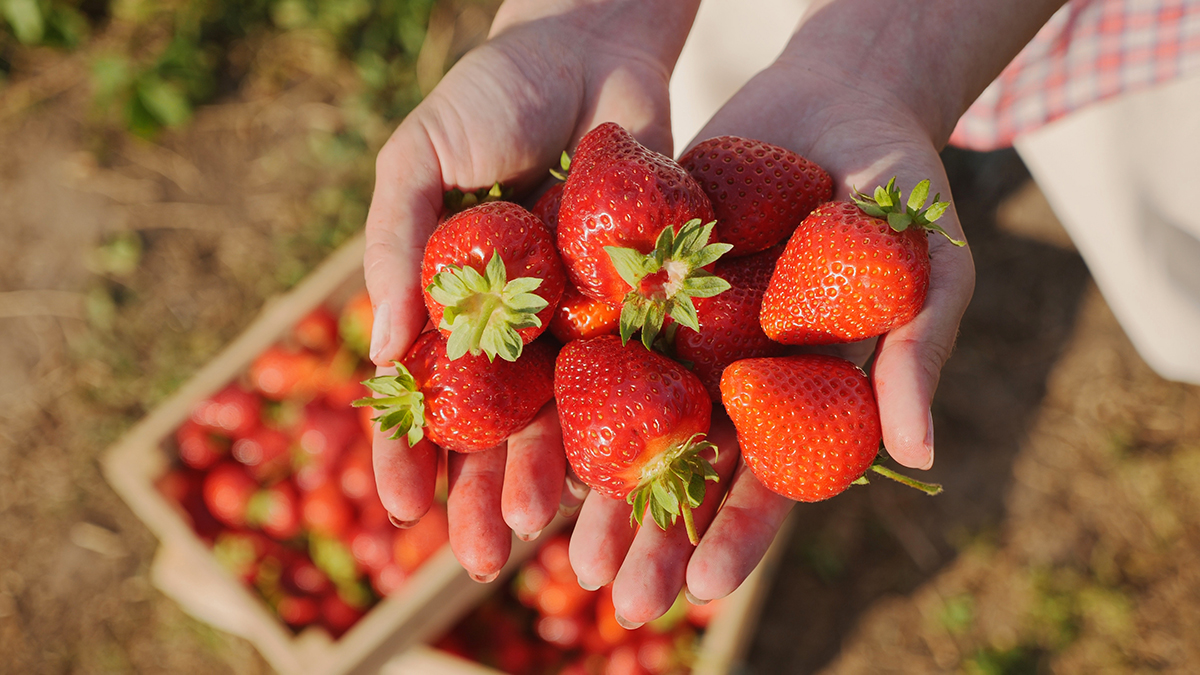 homemade strawberry facial mask